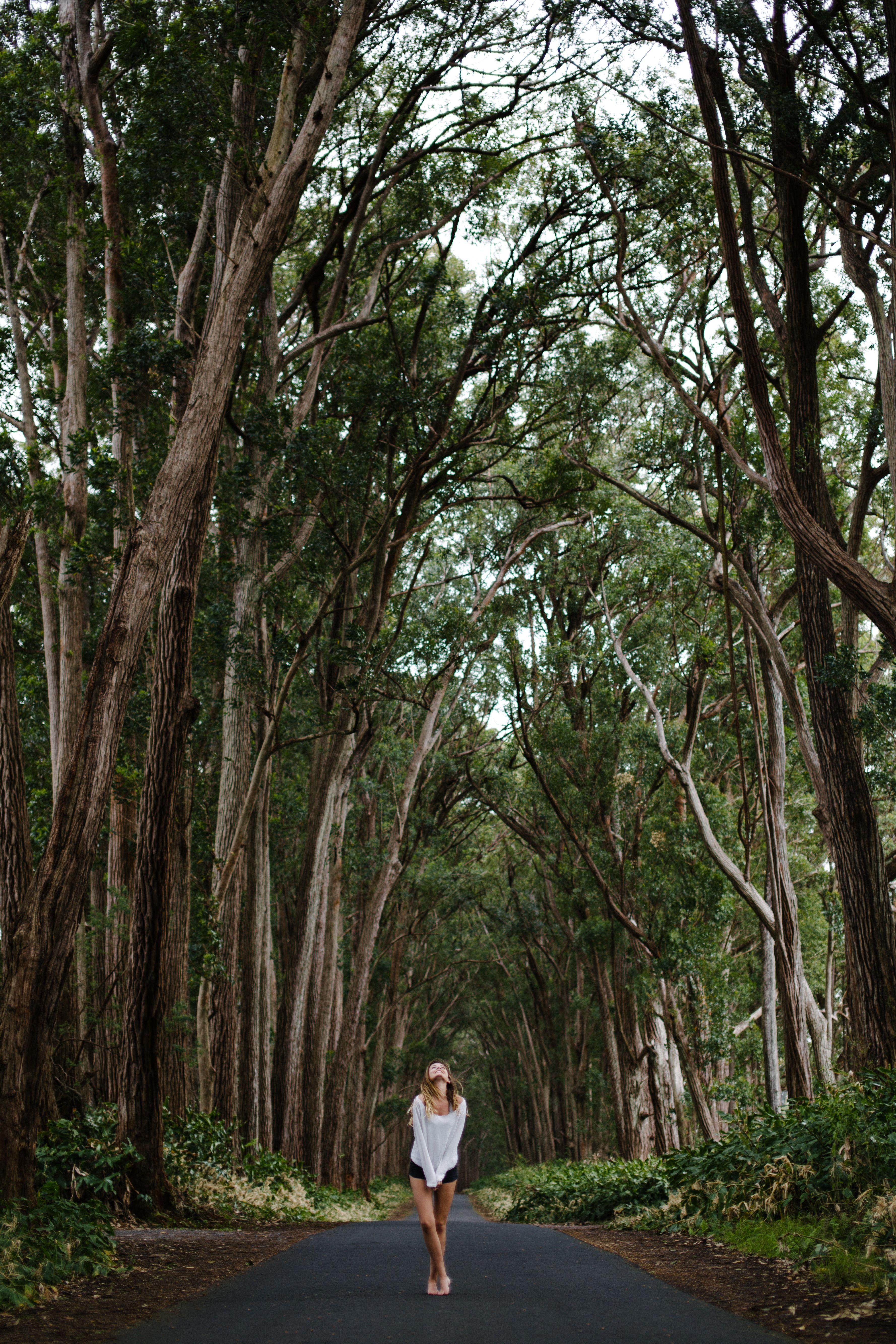 andrew-dong-536075-unsplash