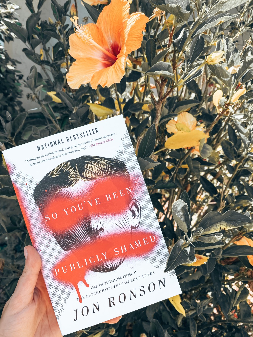 Book Review: So You’ve Been Publicly Shamed by Jon&nbsp;Ronson