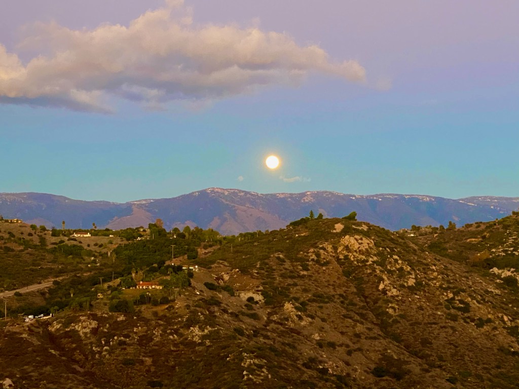 Stepping Out Of Stress: How Walking Became My Personal Work&nbsp;Therapy